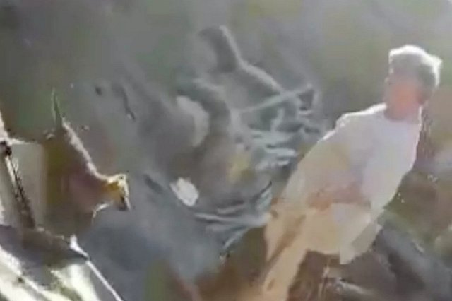 Пенсионерка из Алтайского края убивает и ест собак