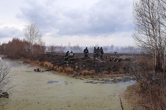В Солнечном для тушения торфяника роют искусственный водоем