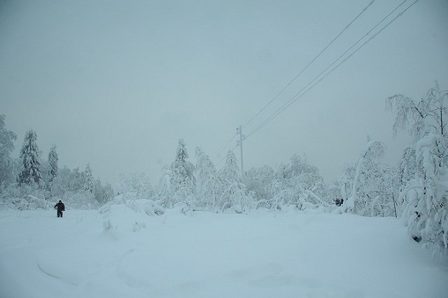 Эксперт объяснил, почему в Свердловской области так холодно