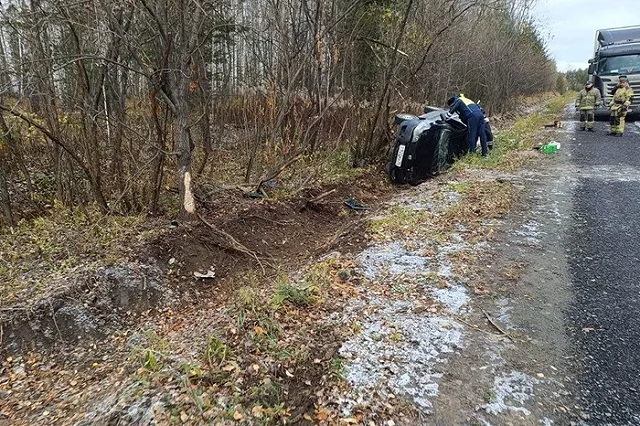 Пьяная женщина-водитель уснула в перевернувшейся иномарке в Верхней Пышме