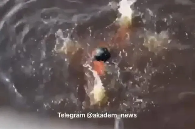 В Академическом едва не утонул ребёнок