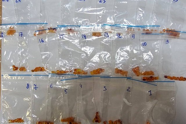 Екатеринбуржец попался на контрабанде ювелирных изделий из Таиланда за миллионы — фото