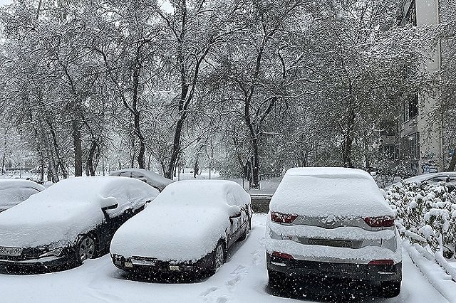 «И не надо его учить». В России предложили ввести для электромобилей цветные номера