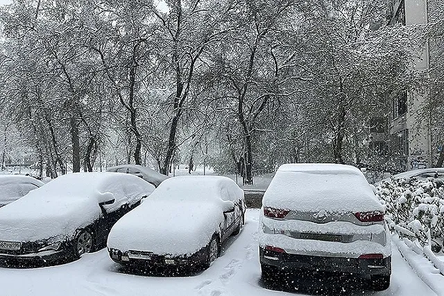 «И не надо его учить». В России предложили ввести для электромобилей цветные номера