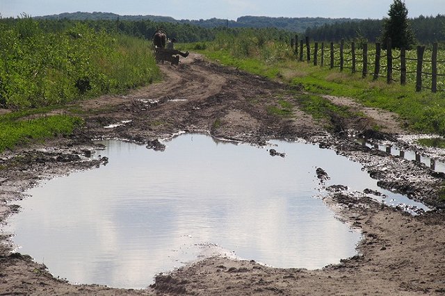Ребенок погиб в Волгоградской области во время прогулки с пьяной матерью