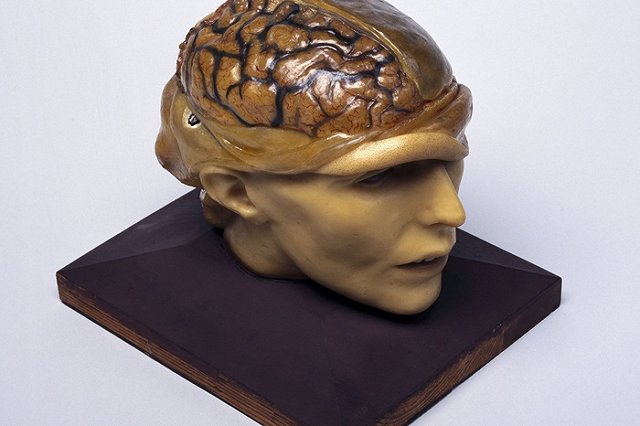 Воскрешать людей из мертвых начнут в 2045 году