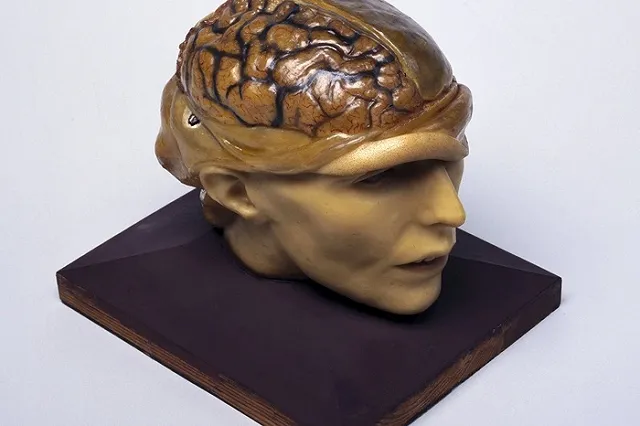 Воскрешать людей из мертвых начнут в 2045 году