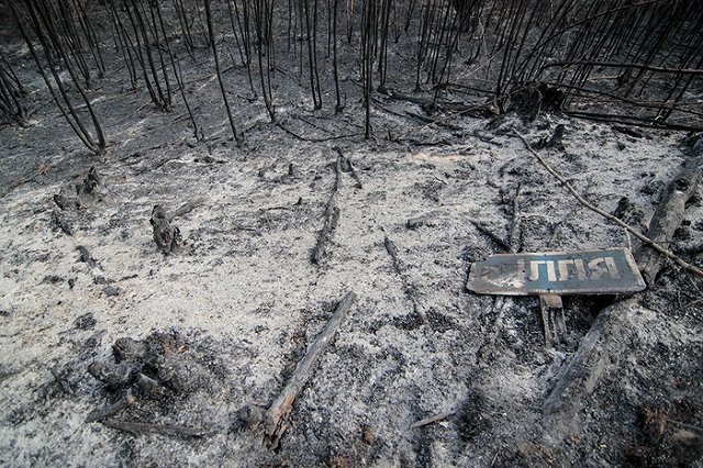 Свердловская область охвачена лесными пожарами