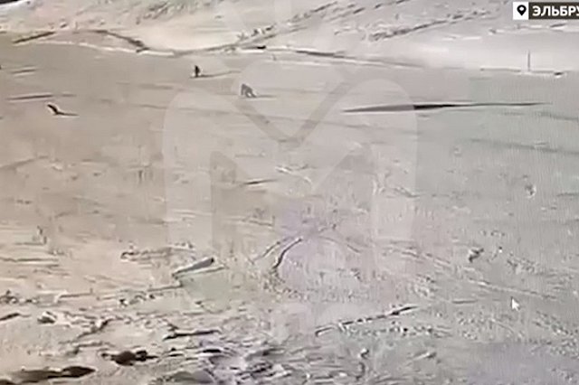 Лыжник погиб на Северном Кавказе при столкновении на трассе с другим туристом