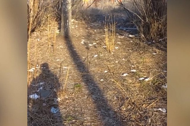 В Екатеринбурге у мемориала погибшим воинам устроили массовый туалет