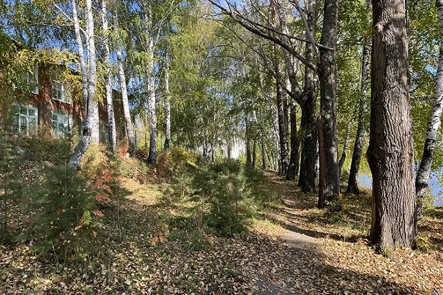 На Свердловскую область надвигается холод и снег