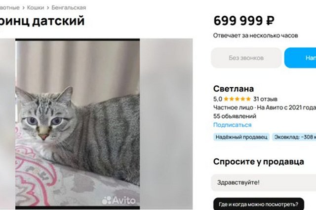 В Свердловской области продают кота за 700 тысяч рублей