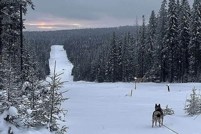 Синоптики сообщили, какая зима ждёт россиян