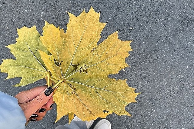 В Свердловской области потеплеет до +10 °С