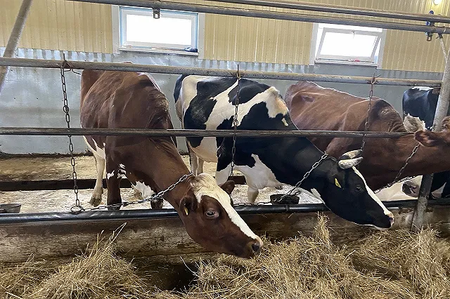 В Свердловской области с прилавков магазинов убирают опасный продукт