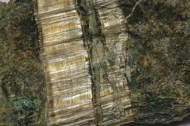 Уральское предприятие получило президентскую поддержку