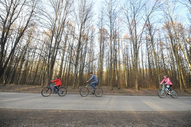 «Отбивали яйца у посетителей»: мэр Магадана жалуется на горожан, ворующих пингвиньи яйца