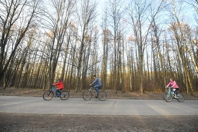 «Отбивали яйца у посетителей»: мэр Магадана жалуется на горожан, ворующих пингвиньи яйца
