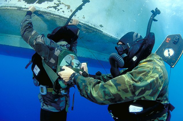 Керченский мост будут охранять настоящие боевые аквалангисты