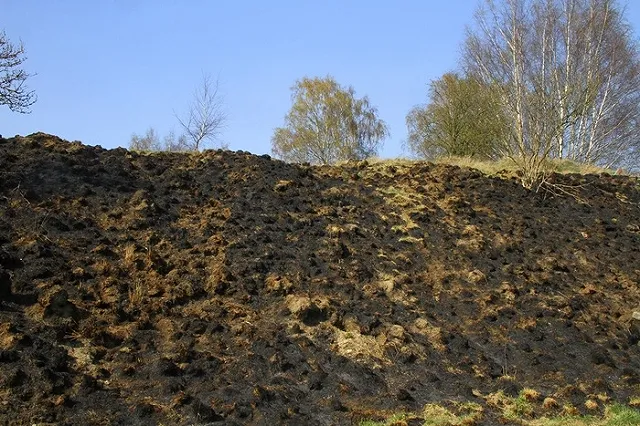 Вагон с заключенными загорелся из-за травы в Приморье