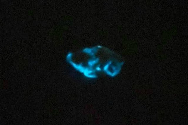 Жительница Украины купила светящуюся в темноте курицу и сварила из нее борщ