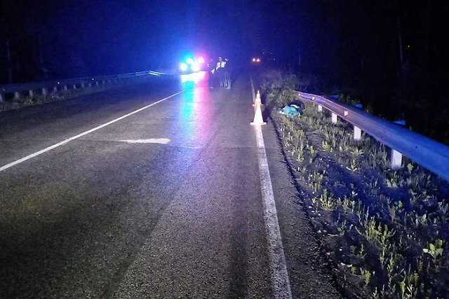 Пешеход погиб ночью на Московском тракте под Екатеринбургом