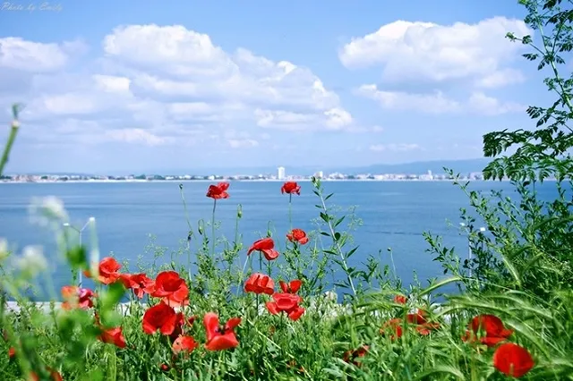 Эксперты определили самое бюджетное пляжное направление Европы