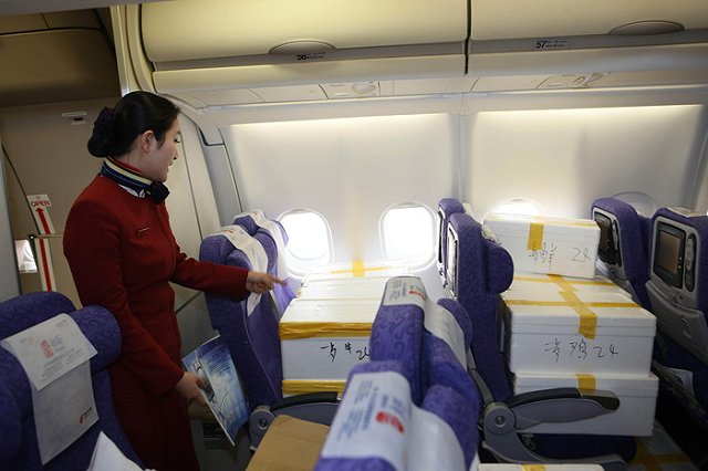 «Азур Эйр» задерживает три чартера из Екатеринбурга из-за технеисправности судна