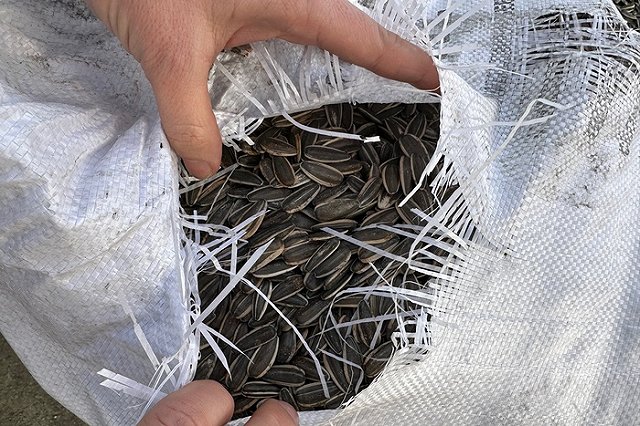 Поставки семечек из Китая на Урал выросли вдвое