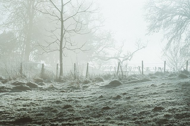 Свердловчанин замёрз насмерть возле проходной завода