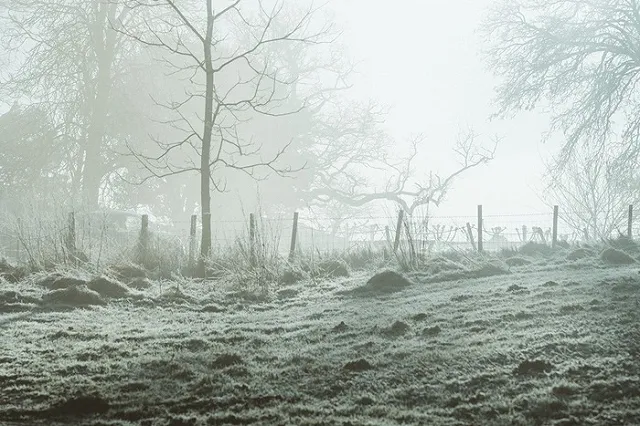 Свердловчанин замёрз насмерть возле проходной завода