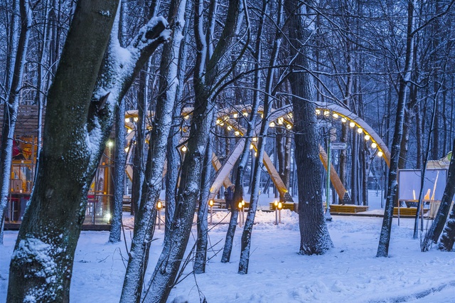 Девушка-наездница и лошадь погибли в парке «Сокольники»  по вине лесорубов