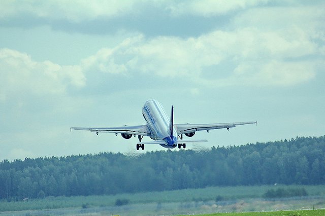 Проживший два месяца в стерильной зоне «Шереметьево» японец улетел на родину