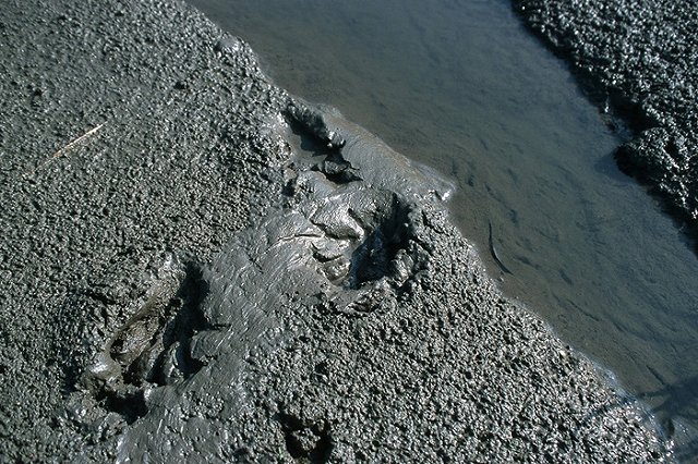 Минэкологии и прокуратура ищут виновника в озерах фекалий под Челябинском