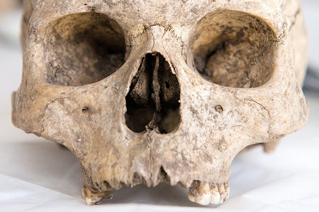 Археологи: в парке у Центрального стадиона нет захоронений коммунаров