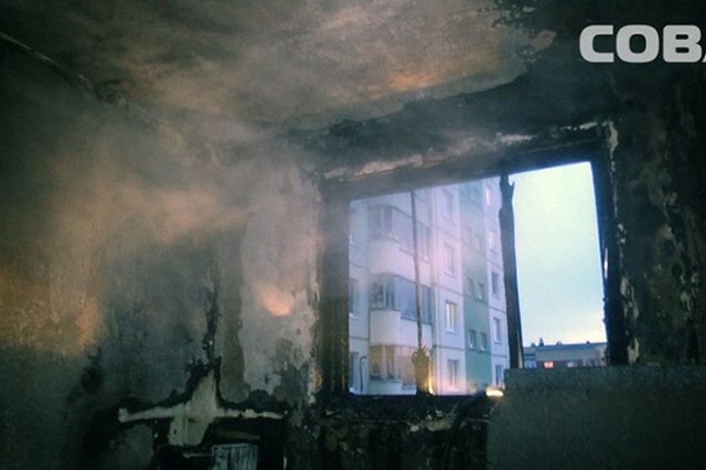 Выкинувший из окна кошку екатеринбуржец перед этим отрезал ей хвост и уши