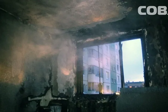 Выкинувший из окна кошку екатеринбуржец перед этим отрезал ей хвост и уши