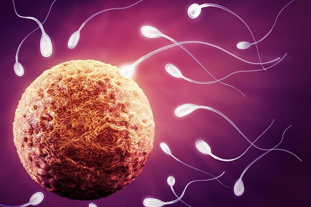 Немцы предложили лечить рак спермой