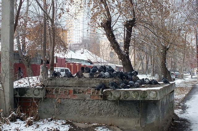 Вторичное жилье в Екатеринбурге в I квартале 2018 года подорожало