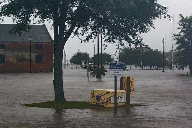 В США пять человек погибли из-за урагана «Флоренс»