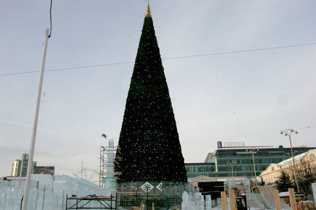 В этом году в ледовом городке появится 8 живых елей, вместо одной искусственной