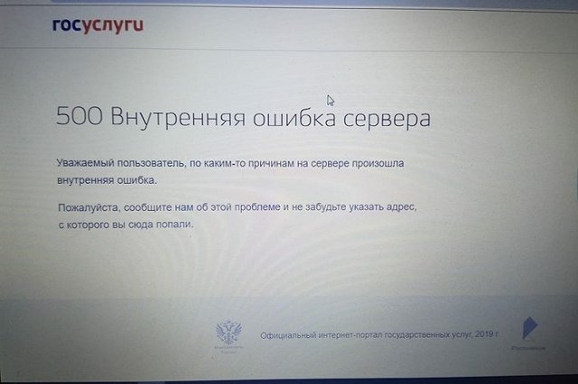 В Екатеринбурге одного ребенка пытались записать в первый класс 57 заявителей