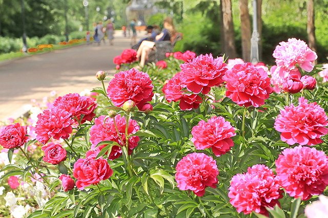 В выходные в Екатеринбурге будет без дождей