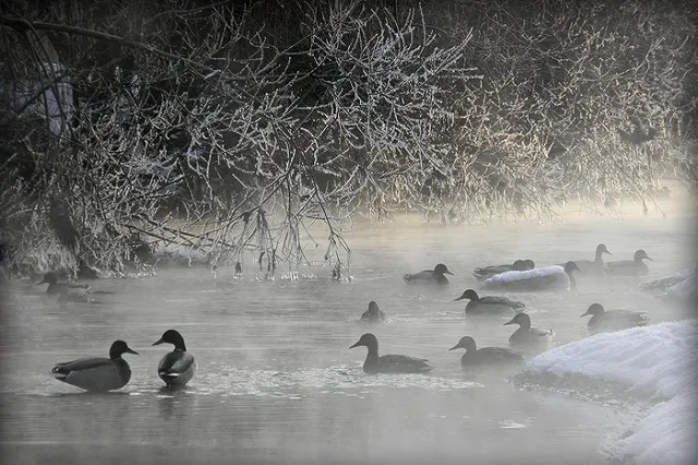 Пришел устойчивый антициклон: уральские синоптики рассказали, какая погода будет в декабре