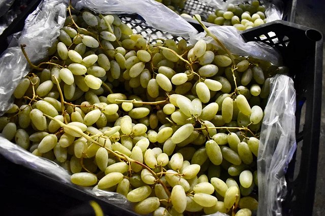 Таможенники назвали три страны, поставляющие в Екатеринбург виноград