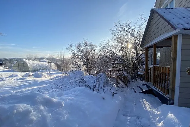 Уральский агроном дал важный совет садоводам