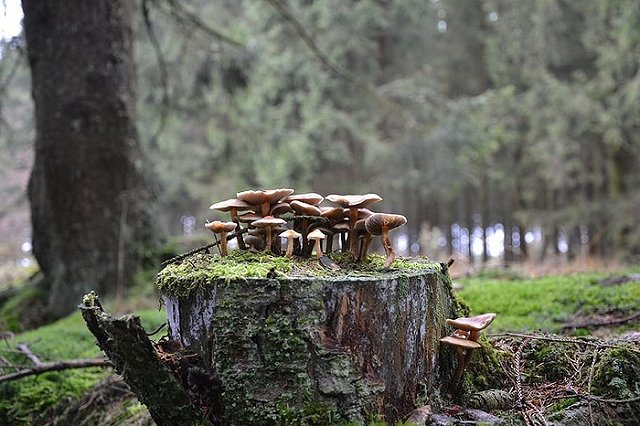 Володин призвал запросить у США списки тех, кого USAID финансировало в России