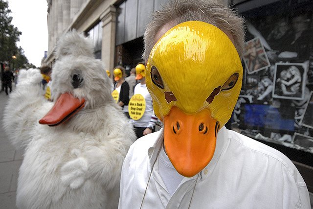 По Екатеринбургу прошёл антимеховой марш