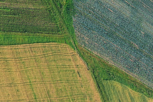 Правительство распределило почти 19 млрд рублей на развитие сельхозотрасли