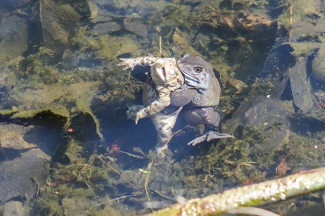 Путин назвал 12 городов, в которых труднее всего дышать